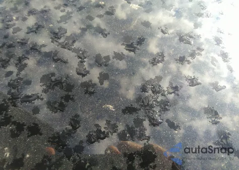 2013 Audi S4 3.0T Premium Plus from USA, damaged, VIN WAUKGAFL5DA085460